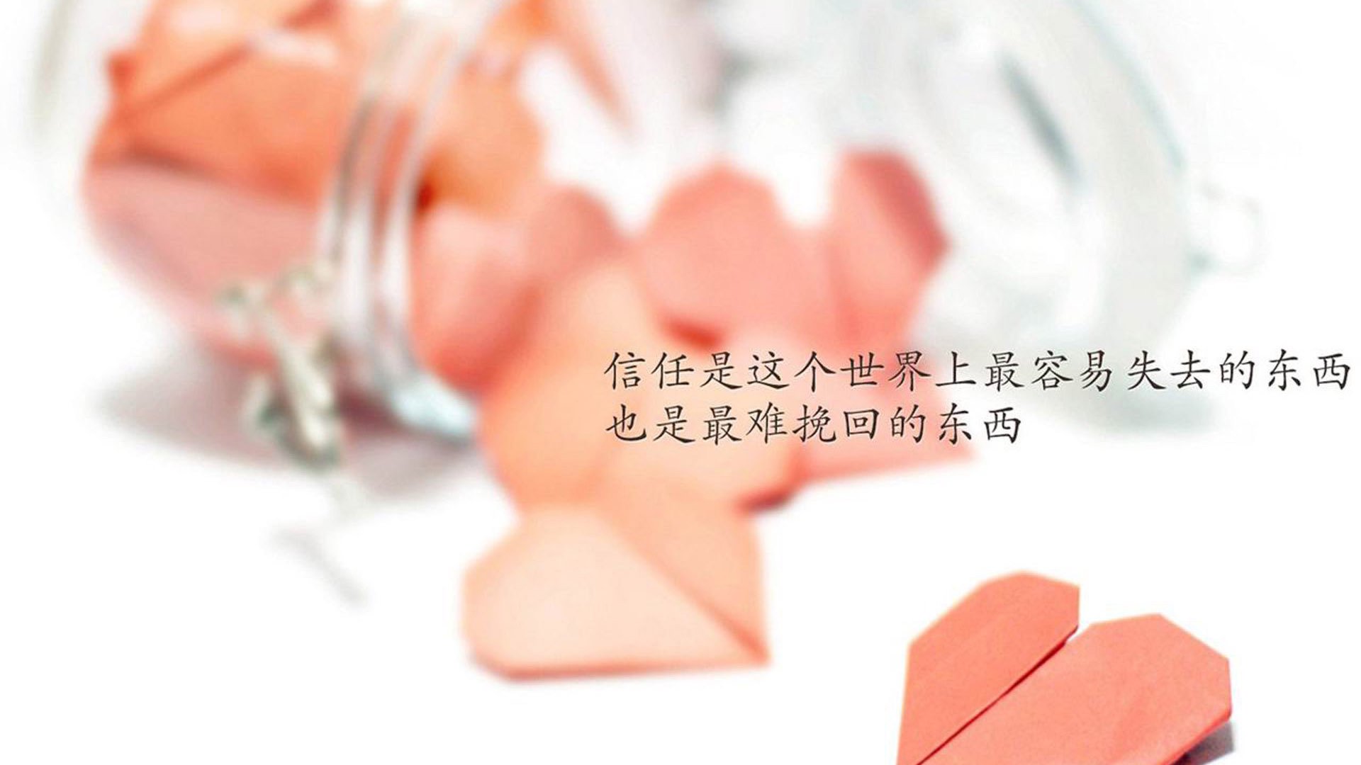 随机赛场瞬间：球迷票选的年度最佳镜头，最佳球员投票
