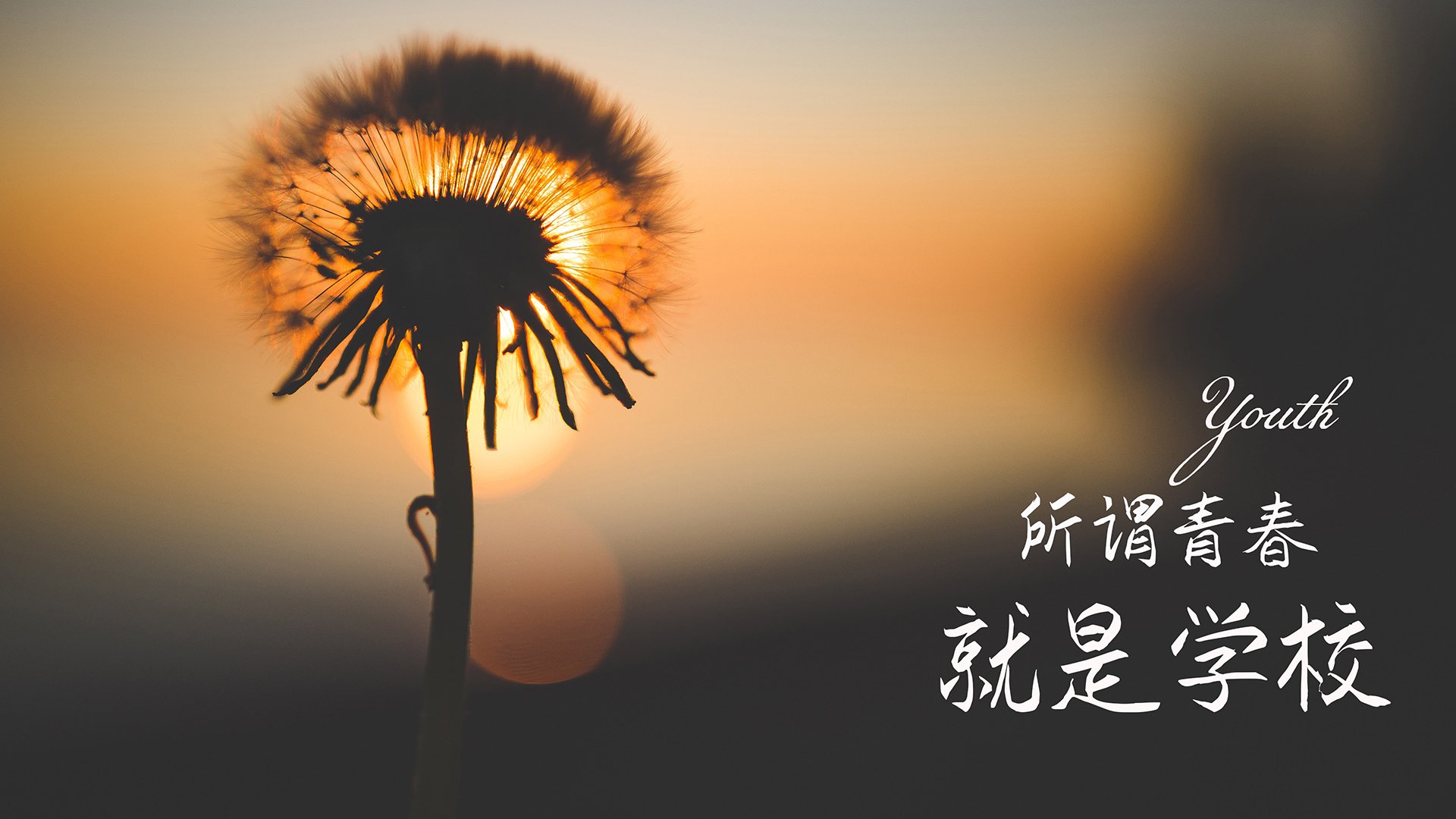 九游下载安装-“沙滩排球：高新体育中心赛场的速度与力量比拼”