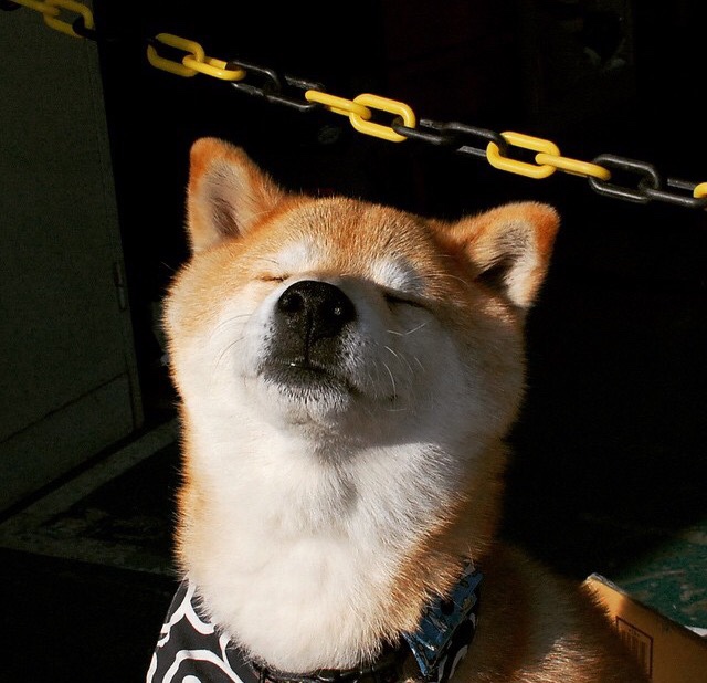 九游娱乐官网 (jiuyou)-卢卡·乌兰多强项再出击，卢卡luka